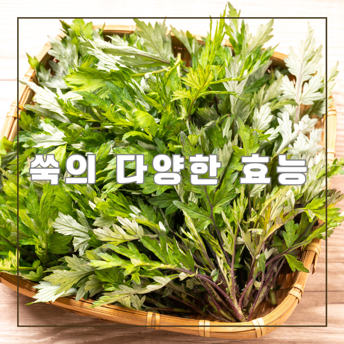 바구니에 담긴 쑥