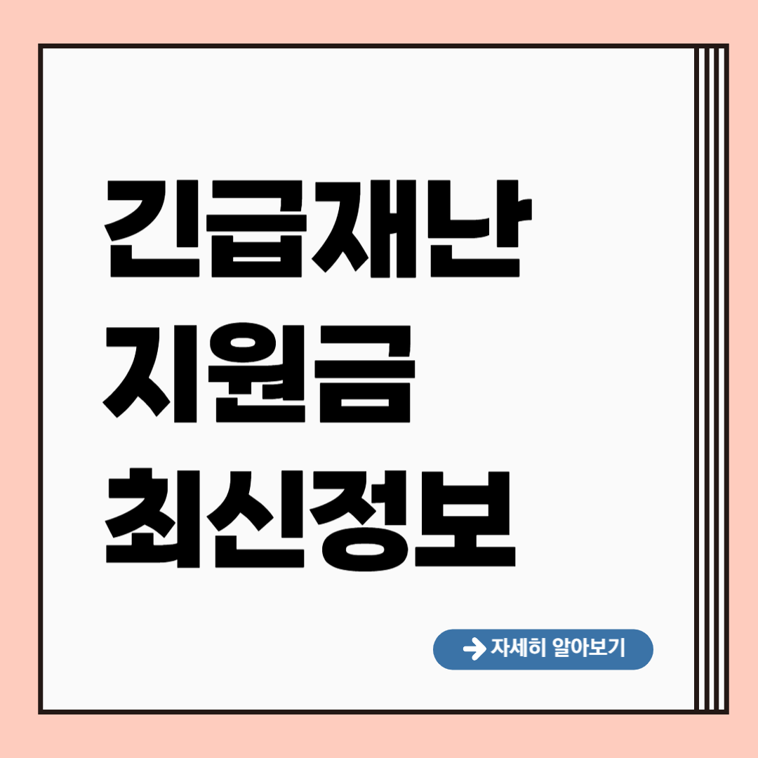 긴급재난지원금