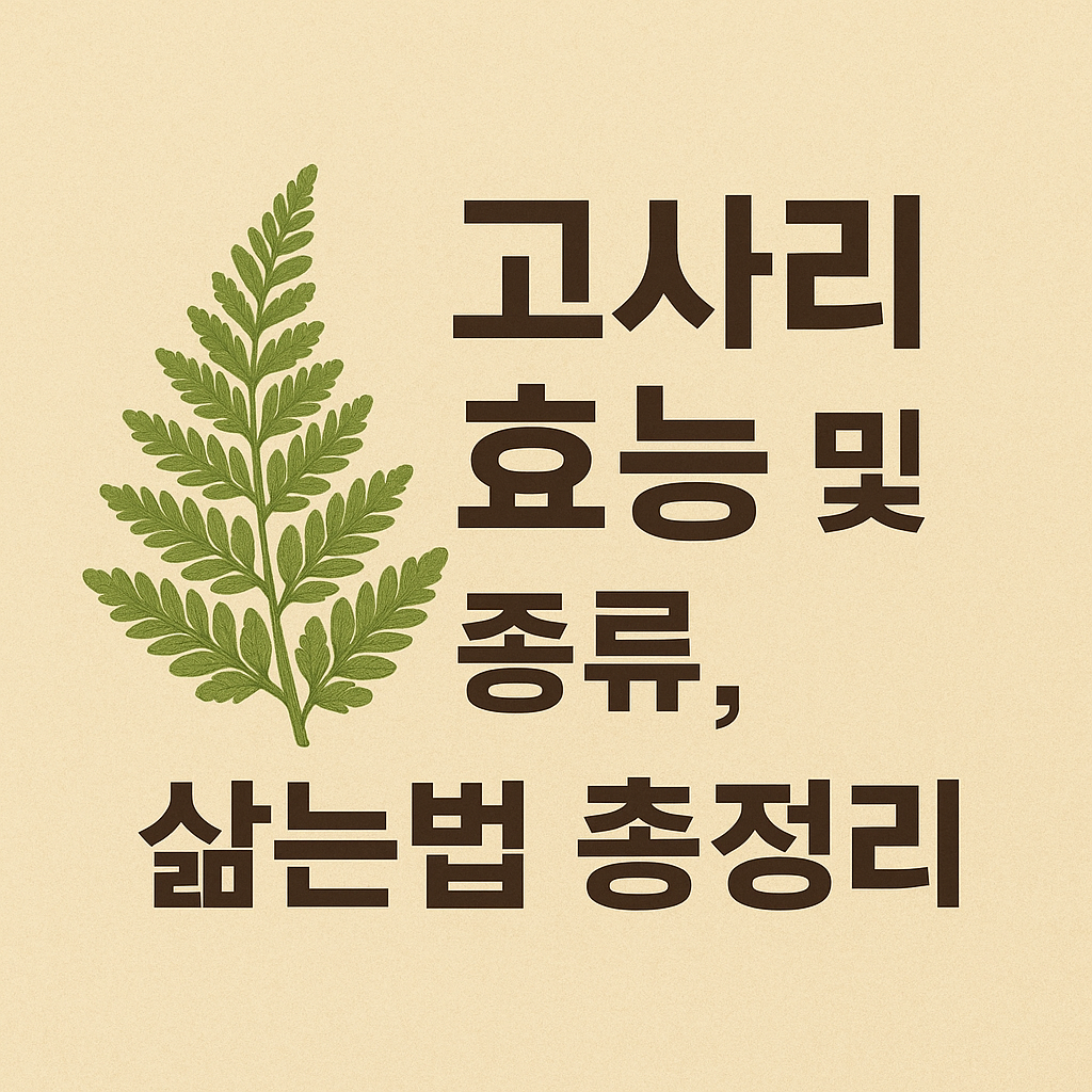 고사리 효능 및 종류, 삶는법 총정리 썸네일