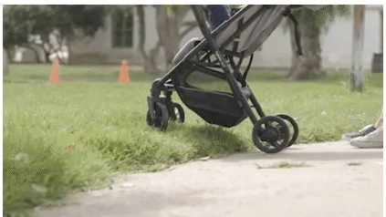 잉글레시나 쿼드2