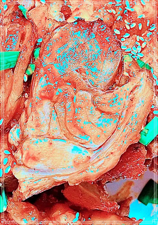 생방송 오늘저녁 동대문, 창신동 골목시장 알싸한 매운맛과 화끈한 불 향, 불족발, 매운족발 맛집