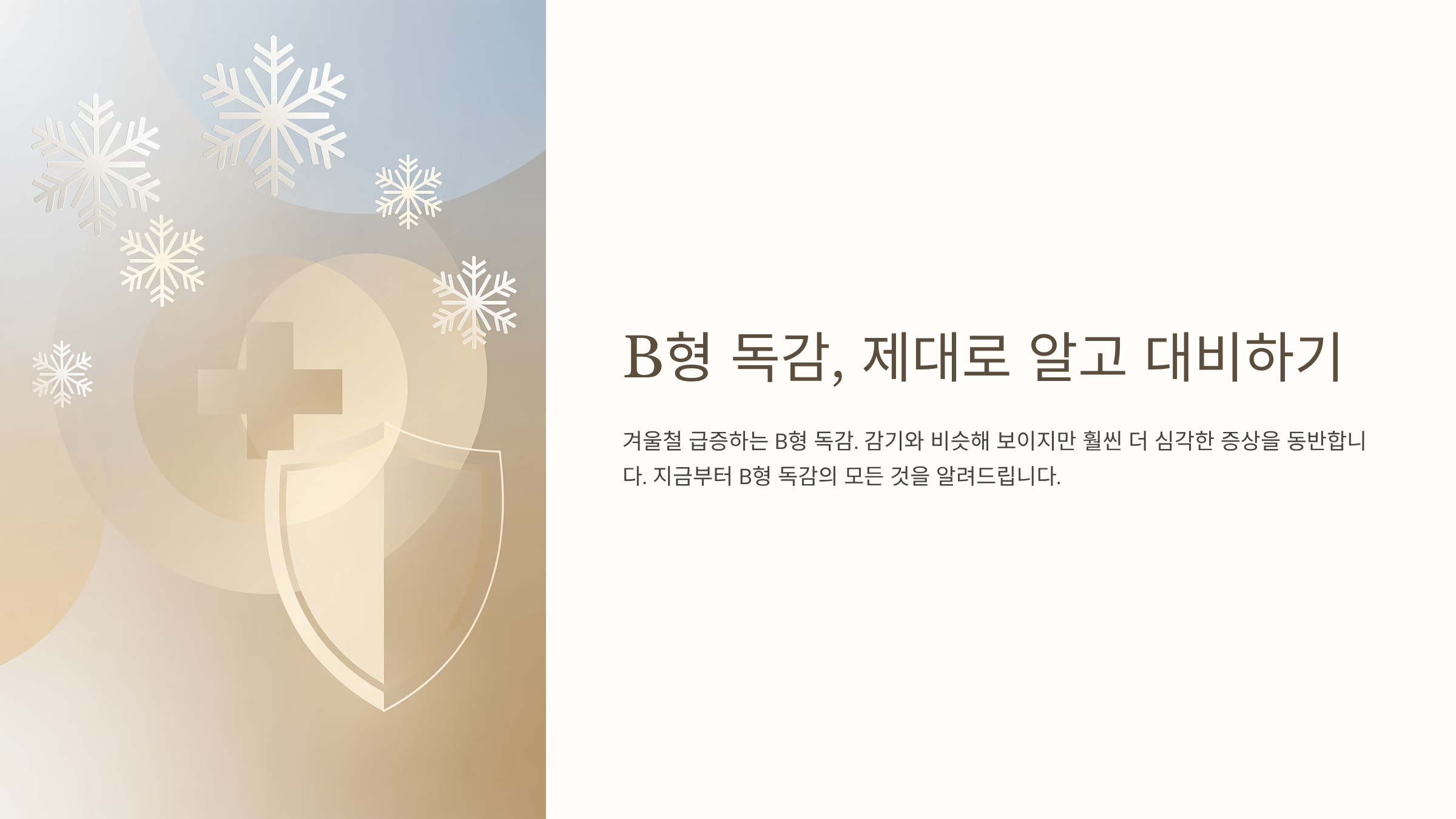 B형 독감 증상