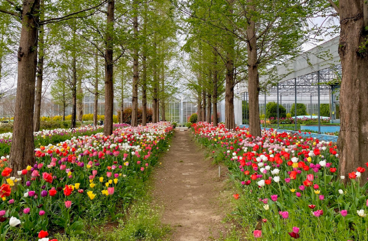 아산 세계꽃식물원