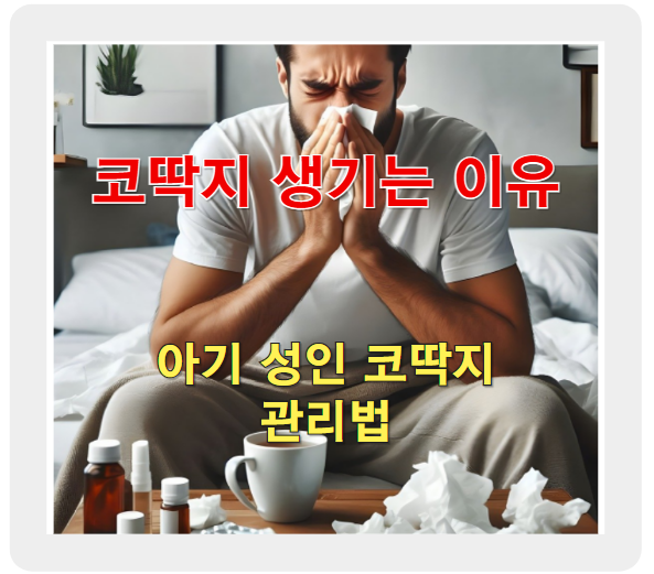 코딱지 생기는 이유! 신생아 아기부터 성인 코딱지 관련 정보