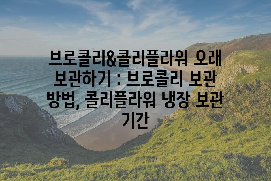 샘플 (86)