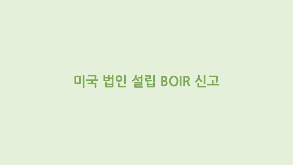미국 법인 설립 BOIR 신고
