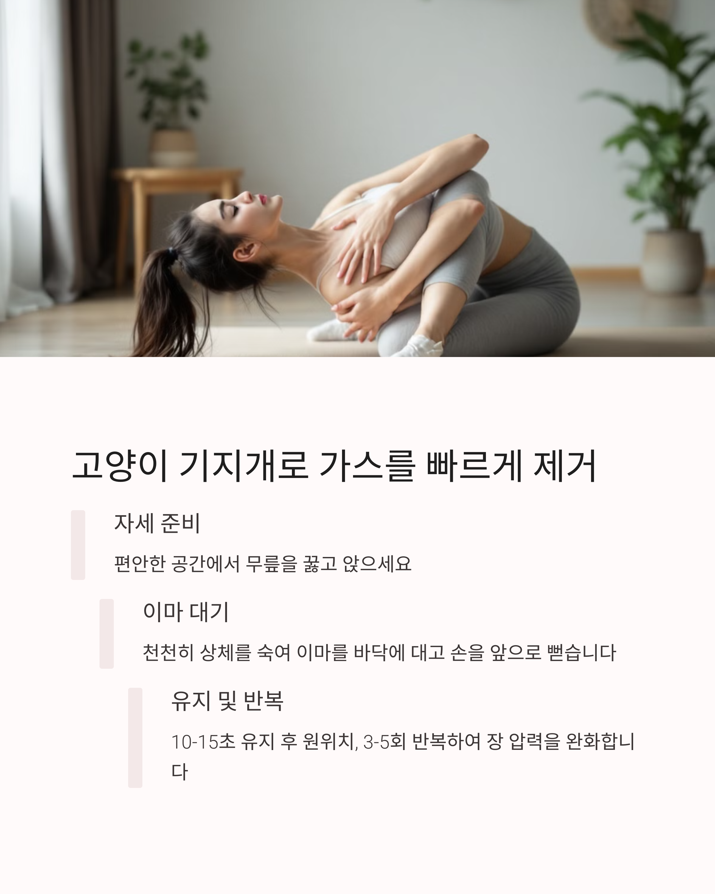 배에 가스 빼는법 술방울 열매 효능