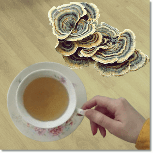 운지버섯 차 복용하는 여성