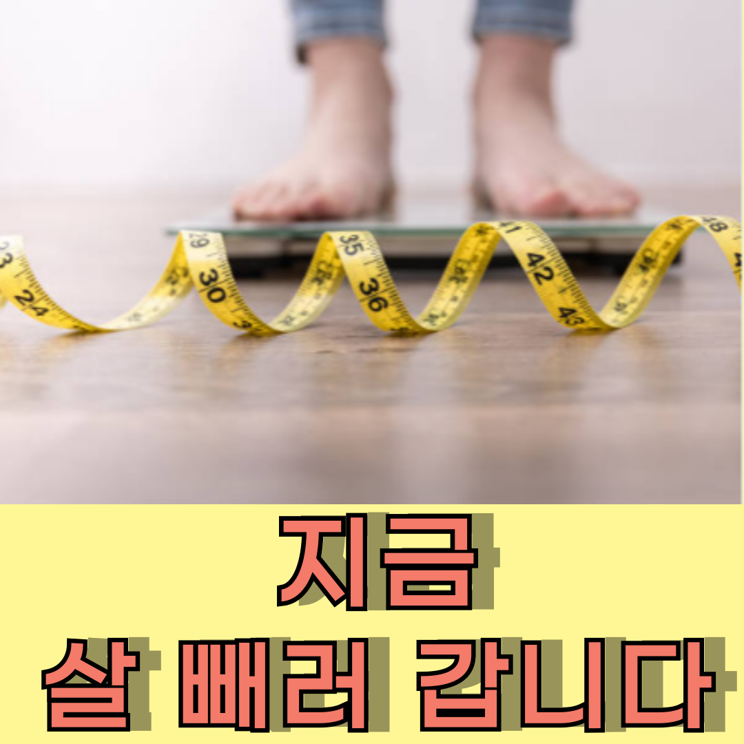 고지혈증 수치 관리 방법