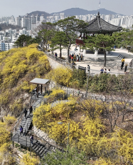 응봉산 이미지