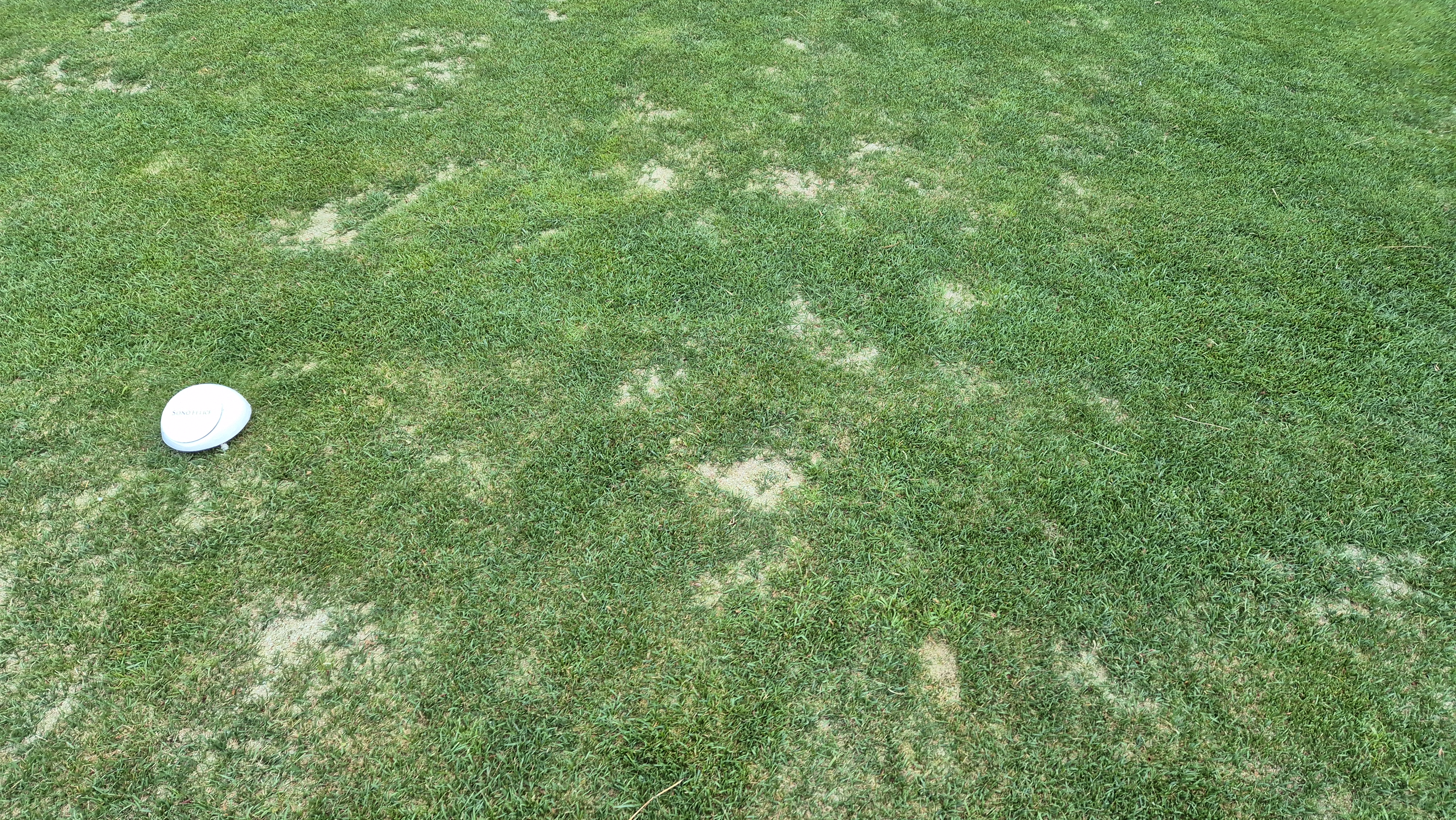 소노펠리체cc 비발디파크 웨스트