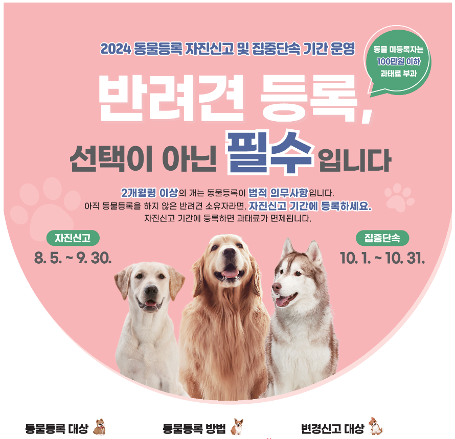 반려견 등록