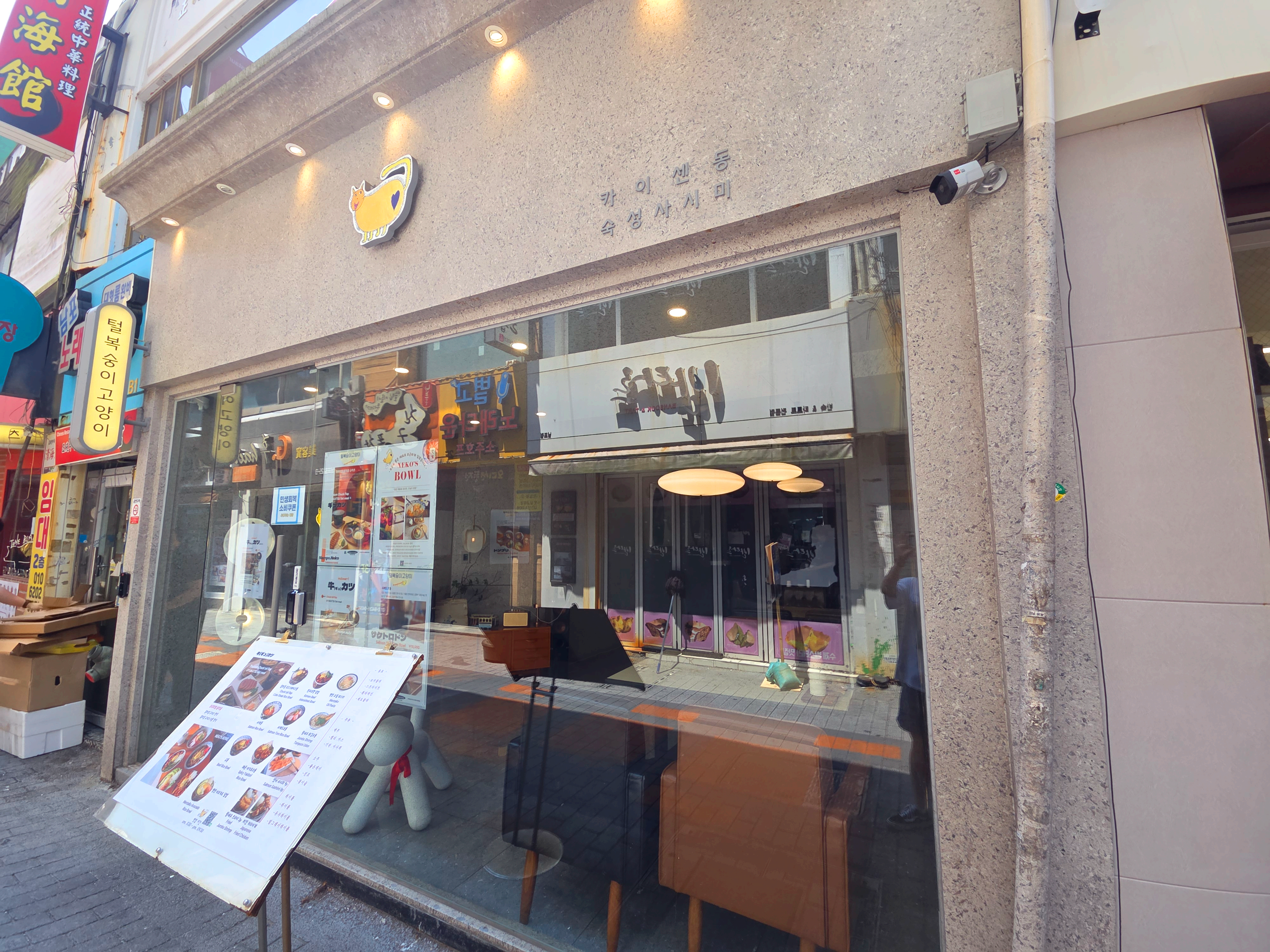 털복숭이고양이