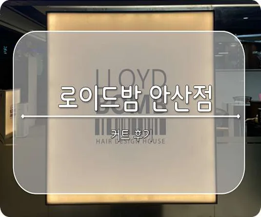 로이드밤 안산중앙점