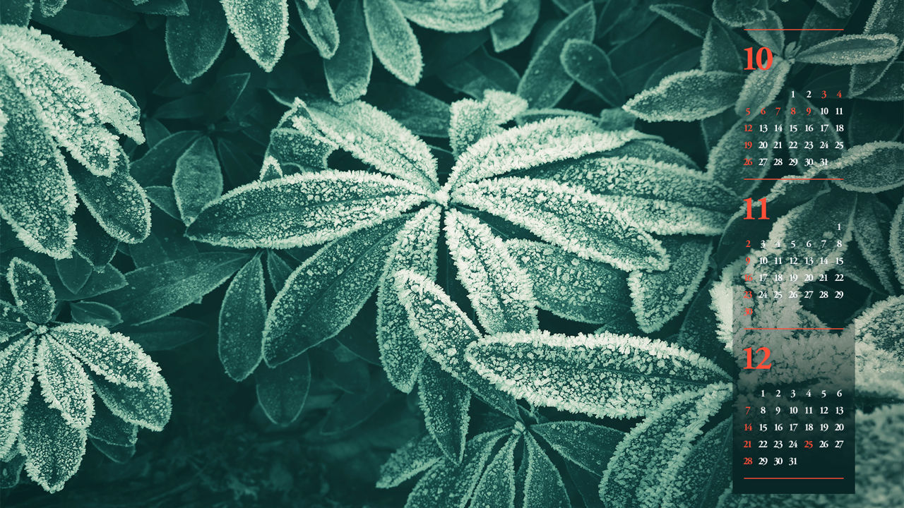 02 풀잎에 내린 서리 B - 2025년11월 노트북배경화면