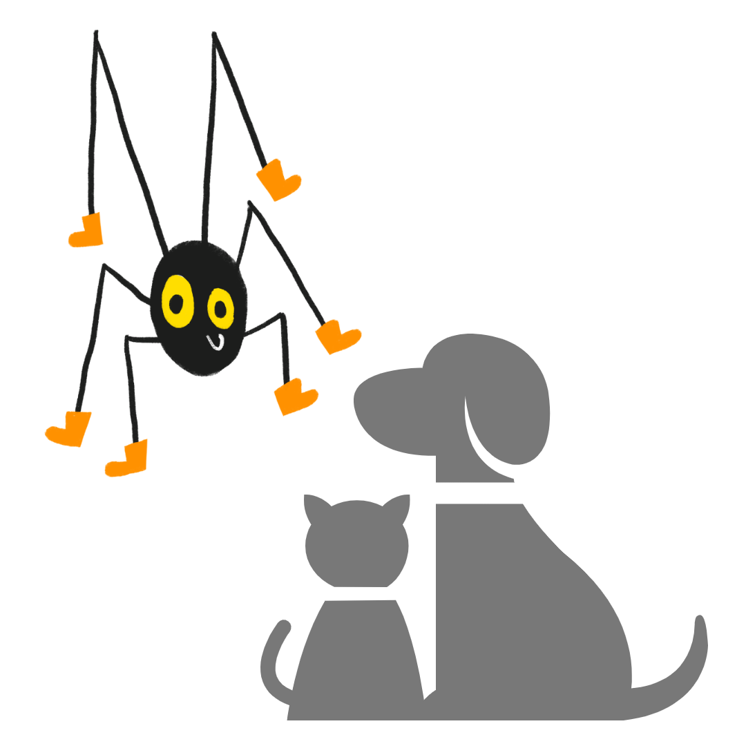 강아지, 고양이 벌레