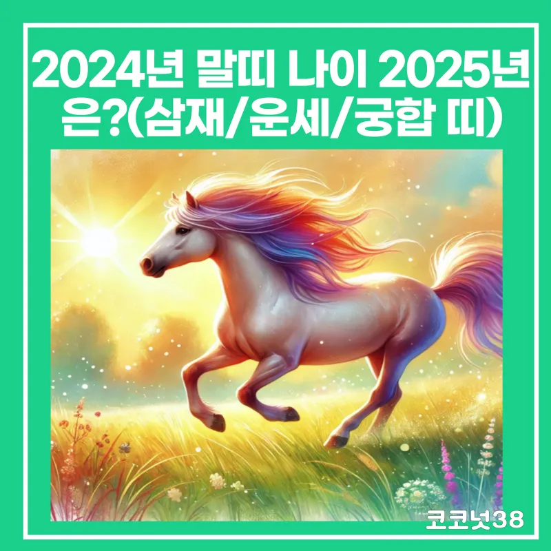2025년 삼제띠 들삼재 눌삼재 날삼재에 대한 정보_1