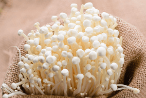 팽이버섯 효능14