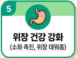 부추 효능