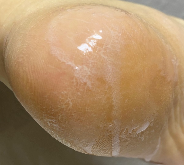 커먼하우스-사용방법