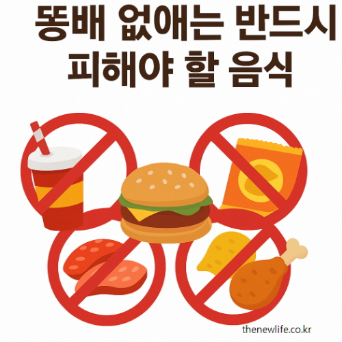 A flat-style Korean digital illustration shows high-calorie foods like soda, hamburger, chips, processed meats, and fried chicken with red prohibition signs. The Korean title reads '똥배 없애는 반드시 피해야 할 음식'/ 탄산음료, 햄버거, 과자, 가공육, 튀김 등을 빨간 금지표시와 함께 보여주는 한국어 일러스트. 상단에는 &lsquo;똥배 없애는 반드시 피해야 할 음식&rsquo;이라는 문구가 적혀 있음.