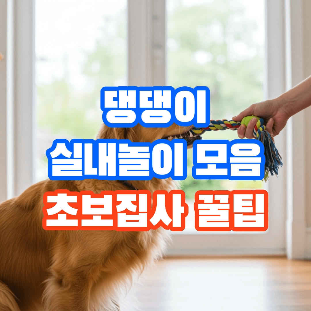반려견 실내 놀이 모음집, 초보주인을 위한 놀이 아이디어🏠