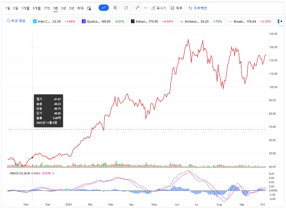 앤비디아 주가 챠트