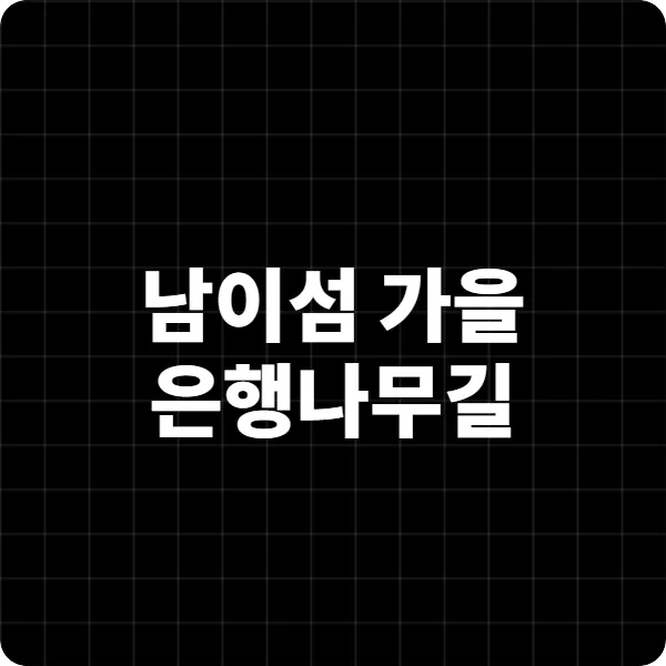 남이섬 가을 은행나무길