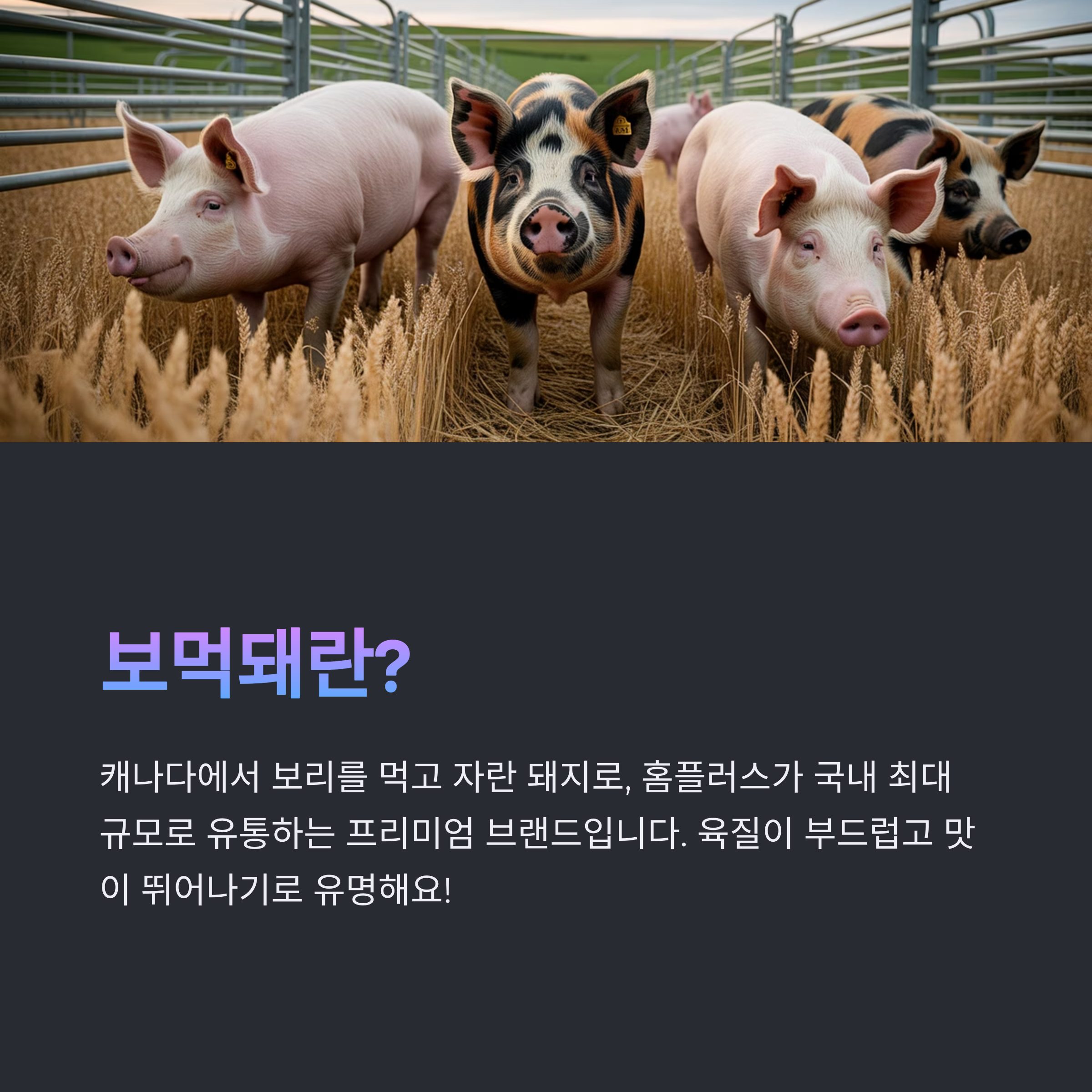 홈플러스 캐나다 먹거리 기획전