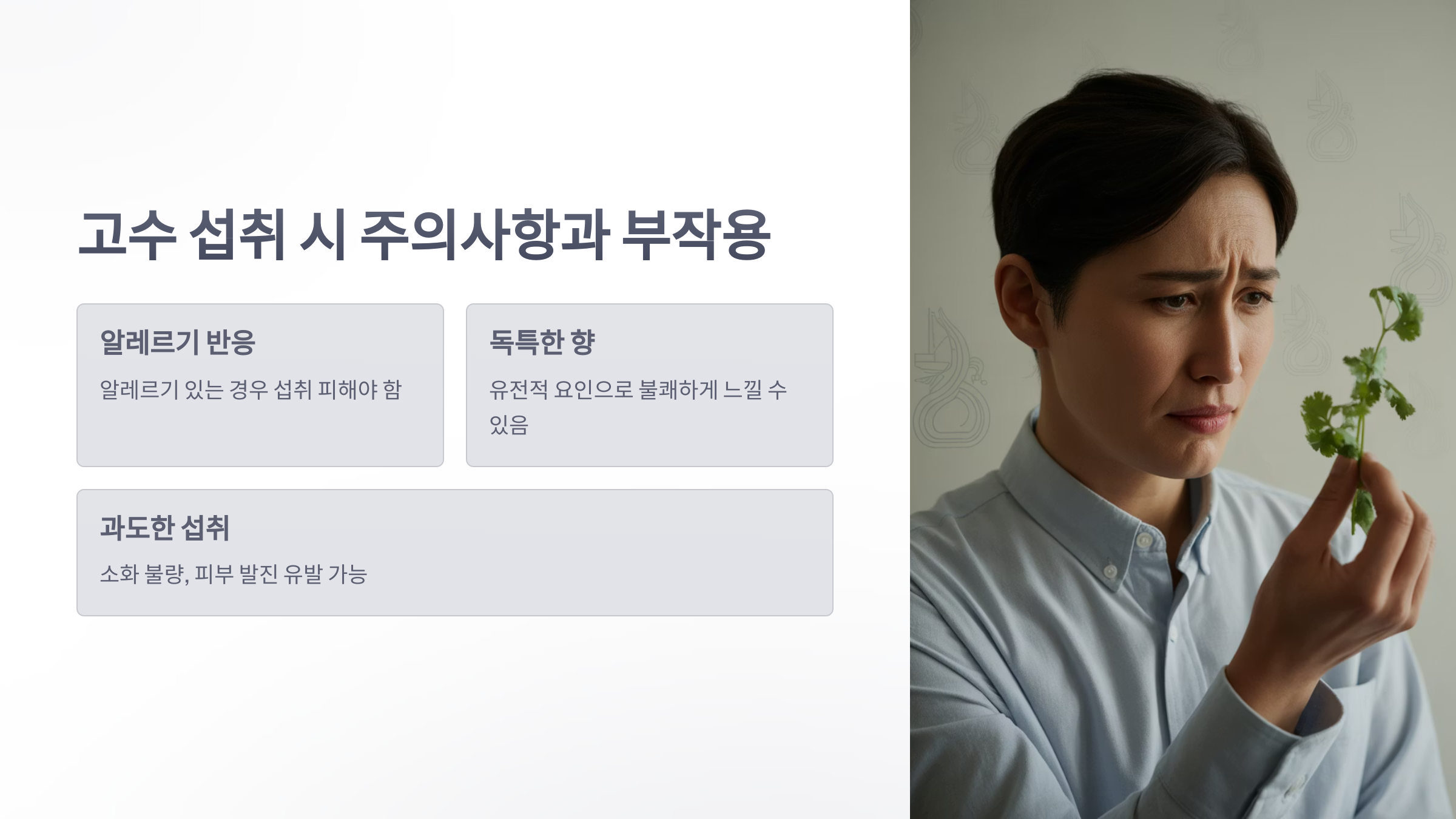 참조-건강음식-'고수'-4