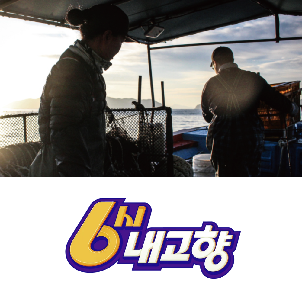 6시내고향 다연호 통영 붕장어