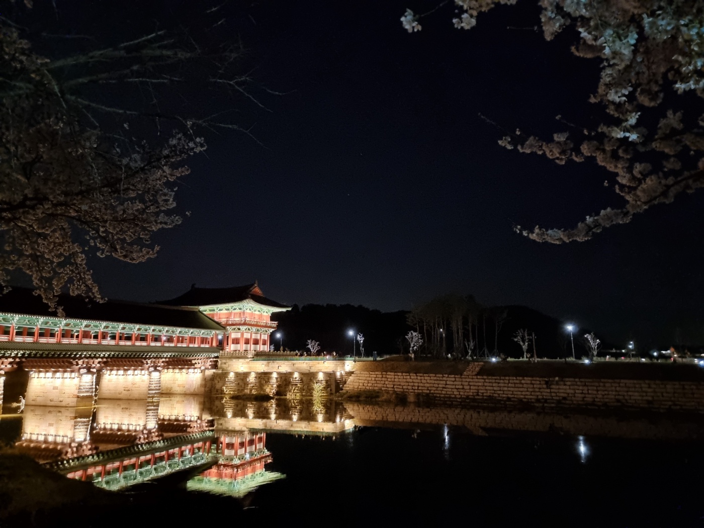 벚꽃