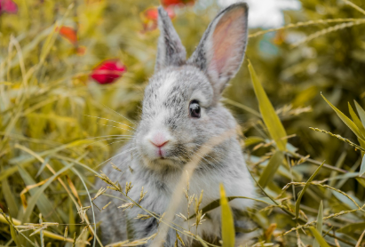 2025년 5월 29일 띠별 오늘의 운세