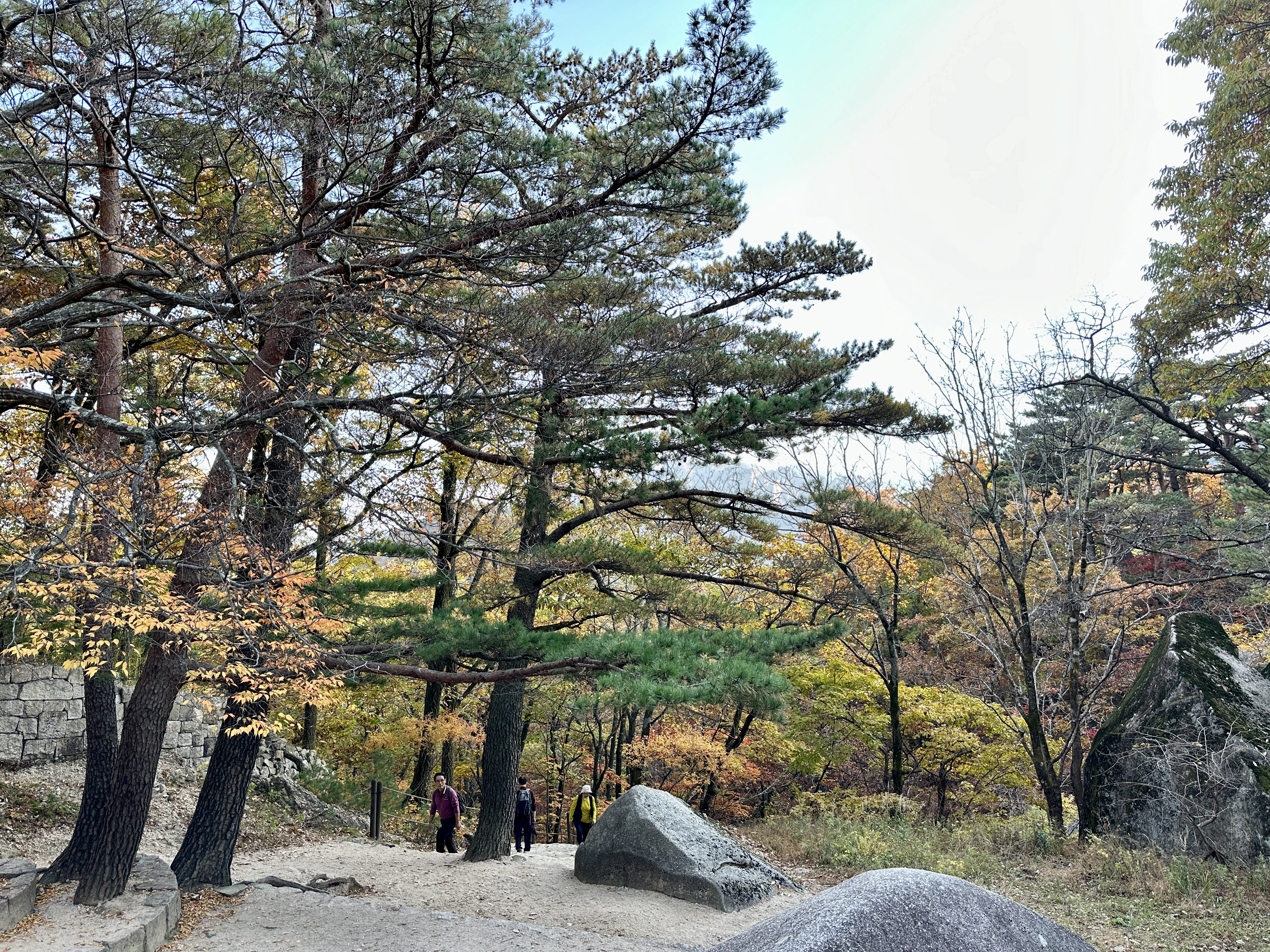 설악산 하산 코스