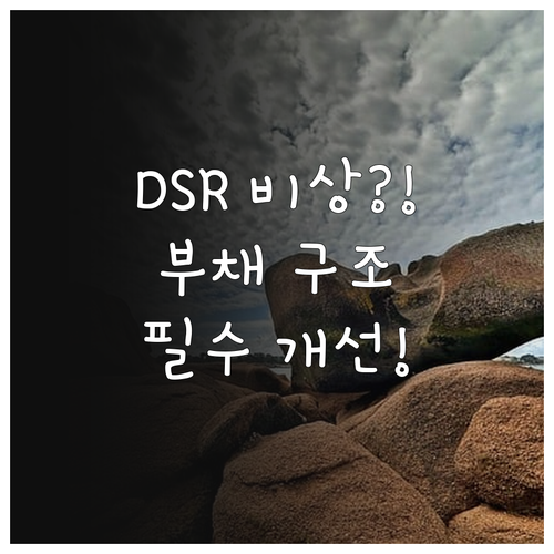스트레스 DSR 규제 대비 부채 구조..