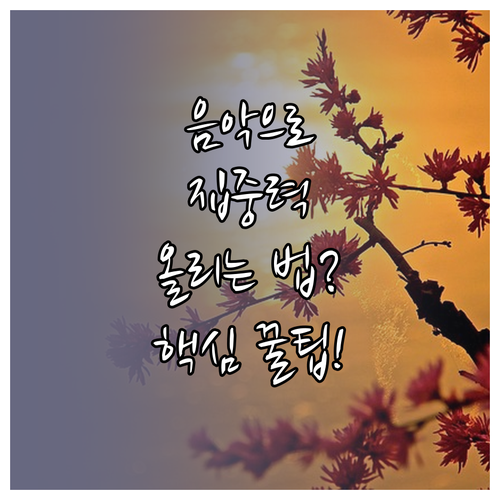 음악으로 두뇌 능력 깨우기: 과학 기..