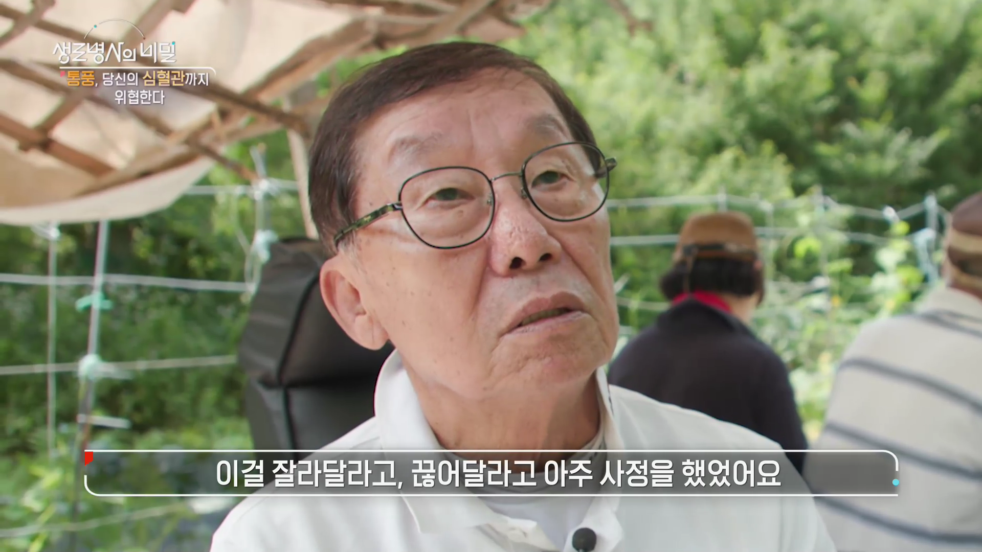 생로병사의 비밀 통풍