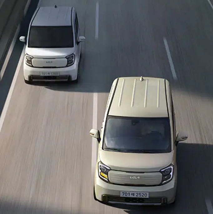 레이 모델 이미지