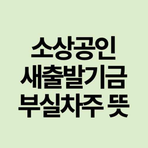 새출발 기금 부실차주