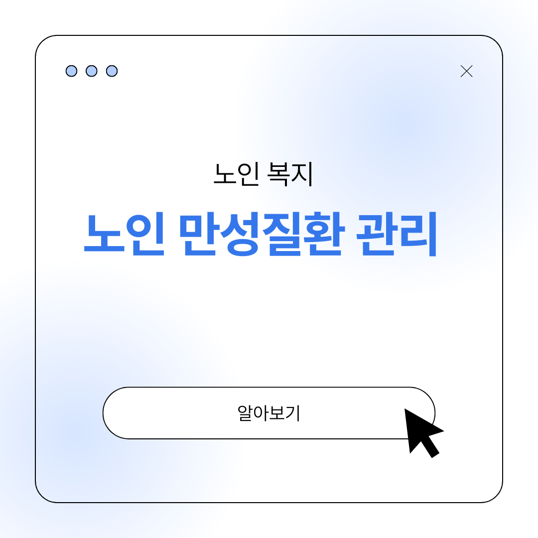 노인 만성질환 관리 프로그램