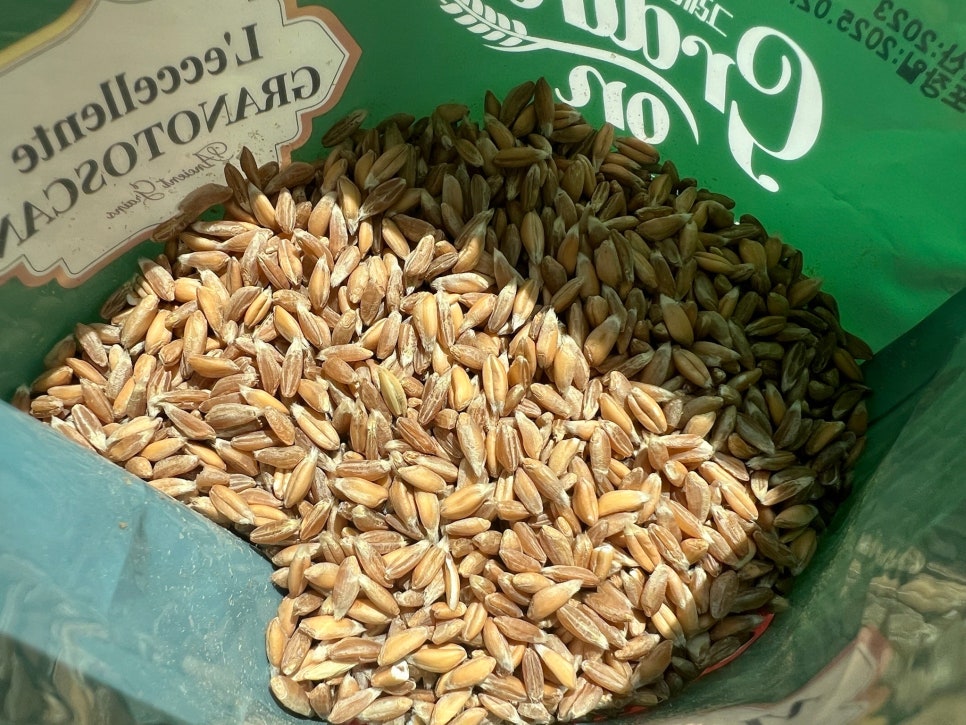 파로 관련 이미지