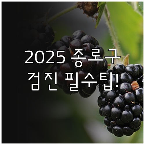 2025 종로구 보건소 기초 검진 금..