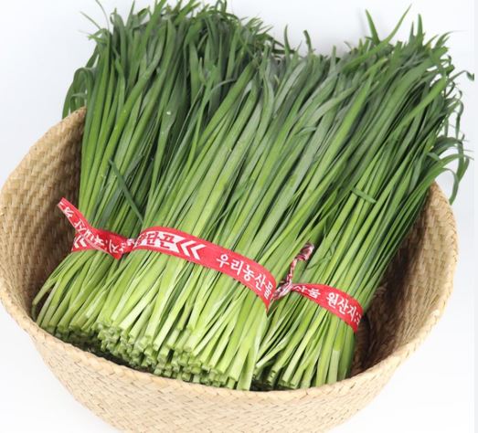 부추 효능
