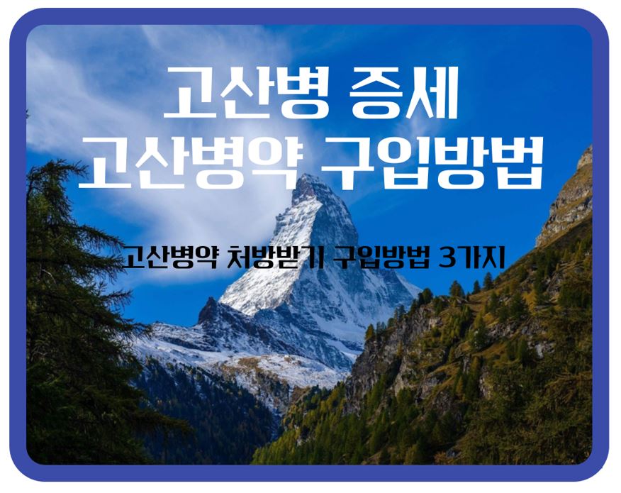 고산병약 구입방법