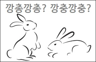 깡총깡총 깡충깡충