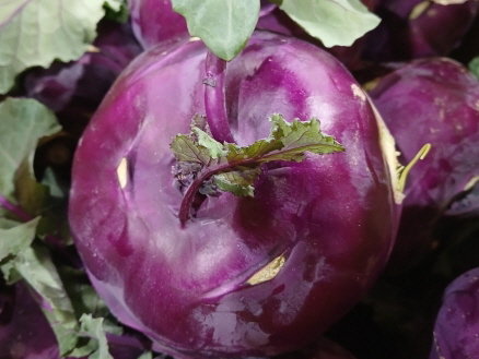 콜라비 효능 영양 성분 실사진