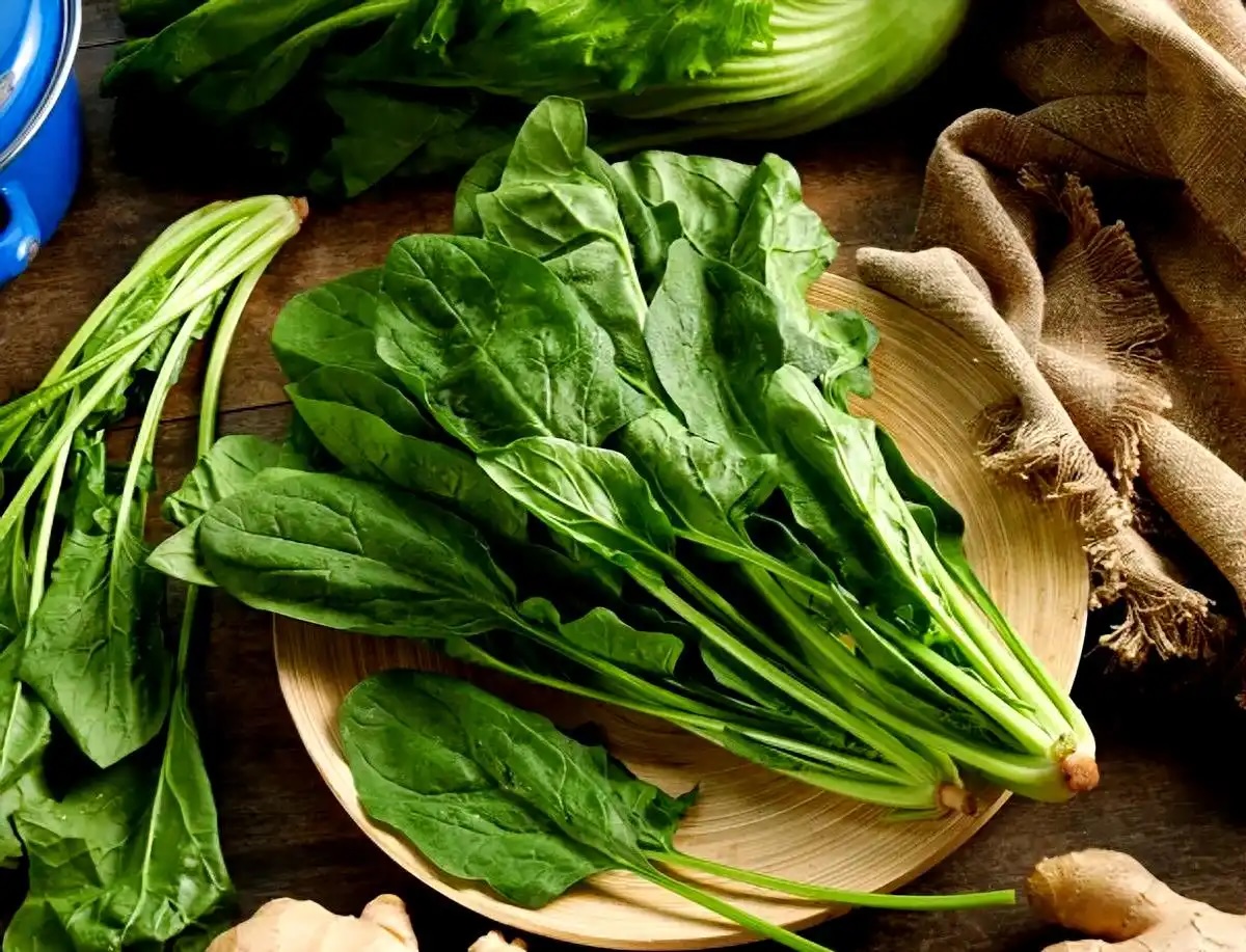 간에 좋은 음식