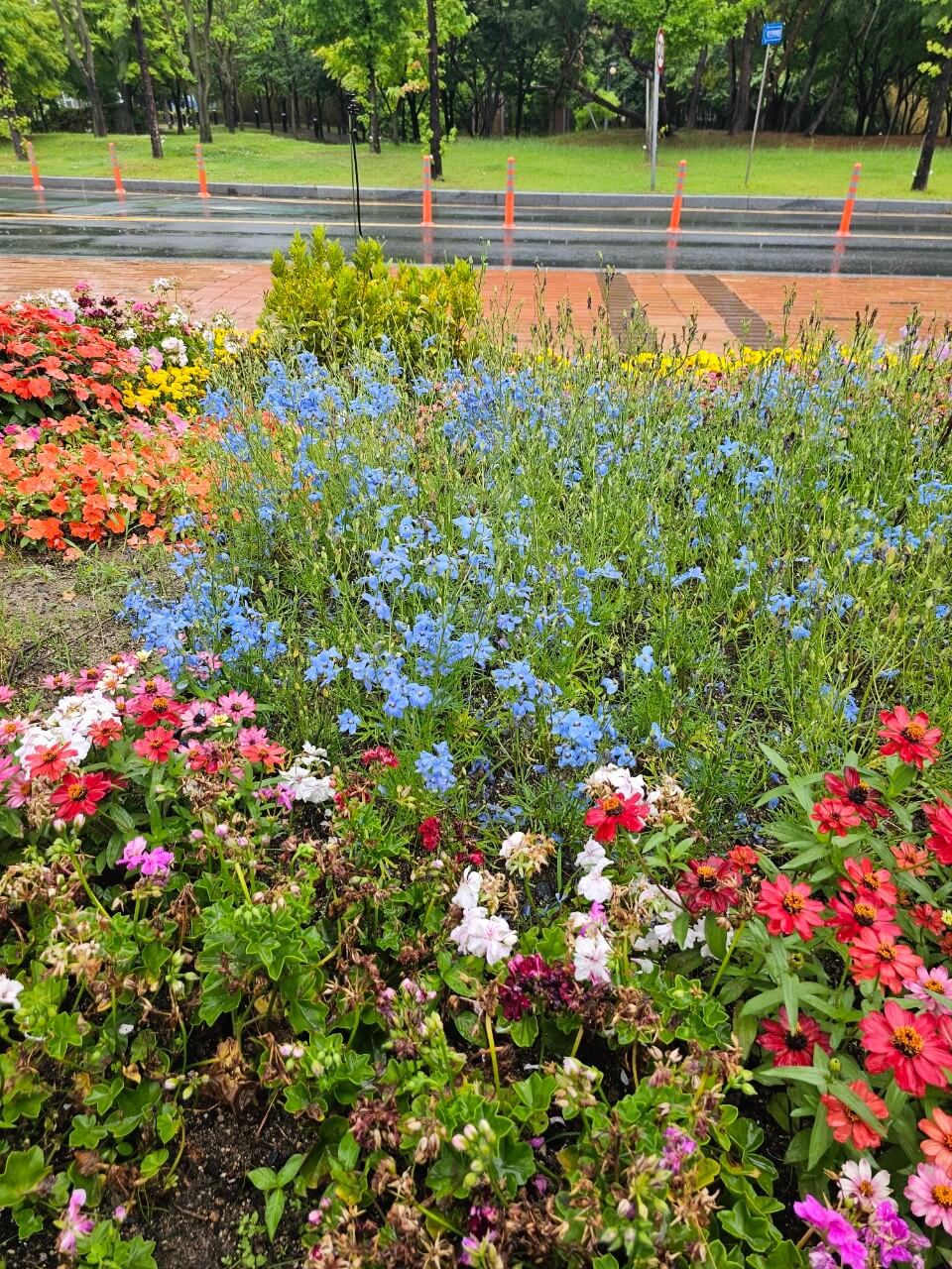 정신장애인 복지정책 국제 동향