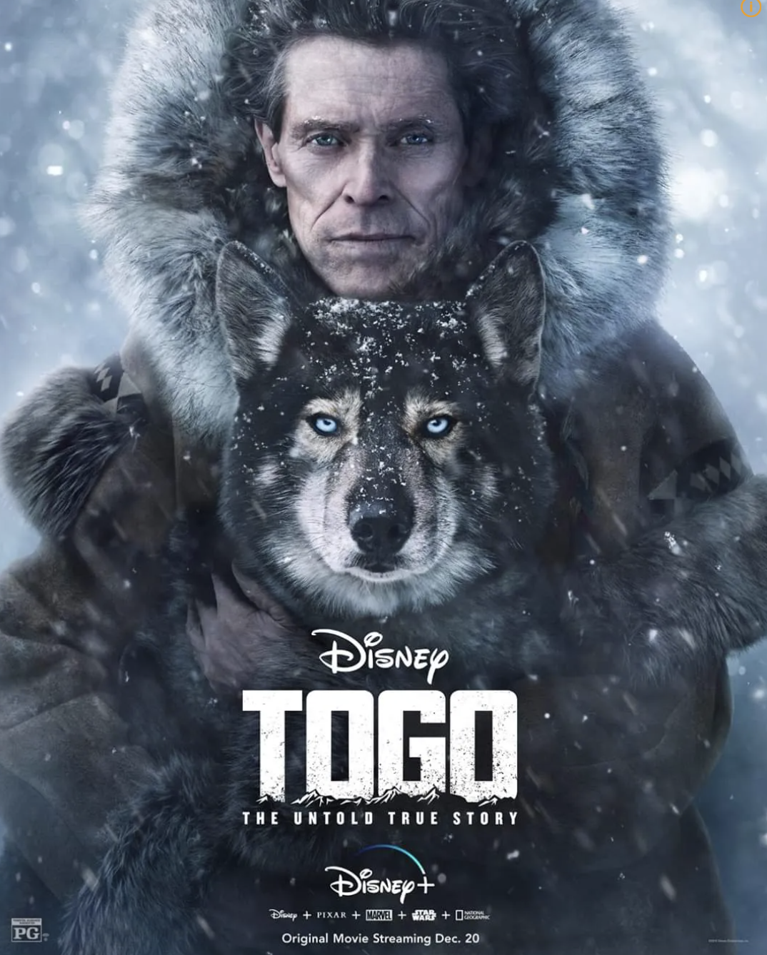 토고 (Togo, 2019)