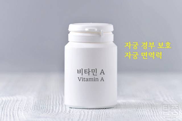 자궁에 좋은 영양제 비타민a 추천